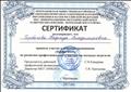 Сертификат за участие в семинаре-проживание "Профи-Фест" по развитию профессионального мастерства молодых педагогов, октябрь 2017г. Сертификат за участие в семинаре-проживание "Профи-Фест" по развитию профессионального мастерства молодых педагогов, октябрь 2017г.