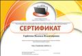 Сертификат участника сетевого профессионального педагогического сообщества "NETFOLIO", февраль 2018г. Сертификат участника сетевого профессионального педагогического сообщества "NETFOLIO", февраль 2018г.